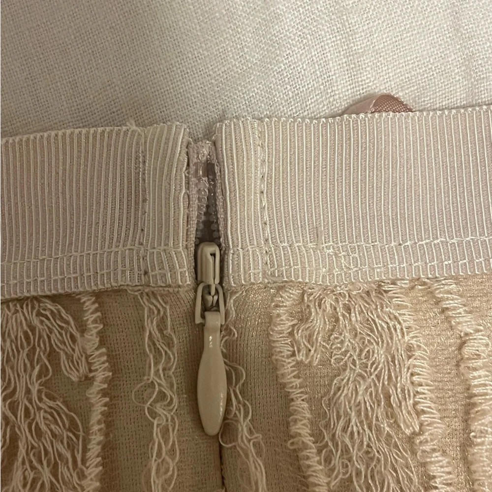 Anthropologie Sheer Embroidered Cream Midi Skirt - Picture 12 of 12